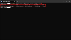 （任意）以下のコマンドで、VOICEVOX ENGINEのDockerイメージが取得できていることを確認する（GPU版の場合）操作の画面キャプチャ