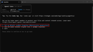 サンドボックスを設定するためのメッセージが表示されるため、「1. Set up default sandbox (requires Administrator permissions)」を選択し、「Enter」キーを押す操作の画面キャプチャ