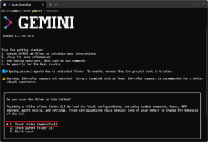 作業フォルダ内のファイルを信頼するか確認するメッセージが表示されるため、「Trust folder (GeminiTest)」を選択し、「Enter」キーを押す操作の画面キャプチャ