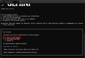 このプロジェクトでの認証方法を確認するメッセージが表示されるため、「1. Sign in with Google（Googleでログインする）」を選択し、「Enter」キーを押す操作の画面キャプチャ