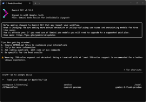 Geimini CLIの画面の画面キャプチャ