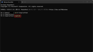 「copilot」コマンドを実行する操作の画面キャプチャ（コマンド例）