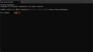 「npm」コマンドを試し打ちする操作の画面キャプチャ(コマンド例)
